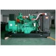 BS 30kVA Gas Generator Set(30kVA-1250kVA)