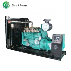 High Qualiy Silent 250KW 313KVA Power LPG Propane Cummins Engine Gas Generator Genset