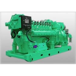 BS 1000kVA Gas Generator Set(30kVA-1250kVA)