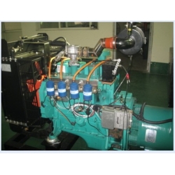 BS 40kVA Gas Generator Set(30kVA-1250kVA)