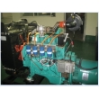BS 40kVA Gas Generator Set(30kVA-1250kVA)