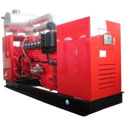 BS 250kVA Gas Generator Set(30kVA-1250kVA)